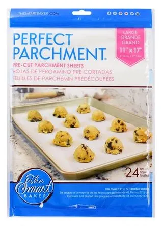 11x17 Large Parchment Sheets