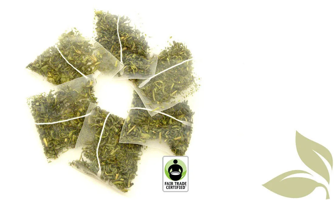 16ct Bio-Sachet Box - Jasmine Green