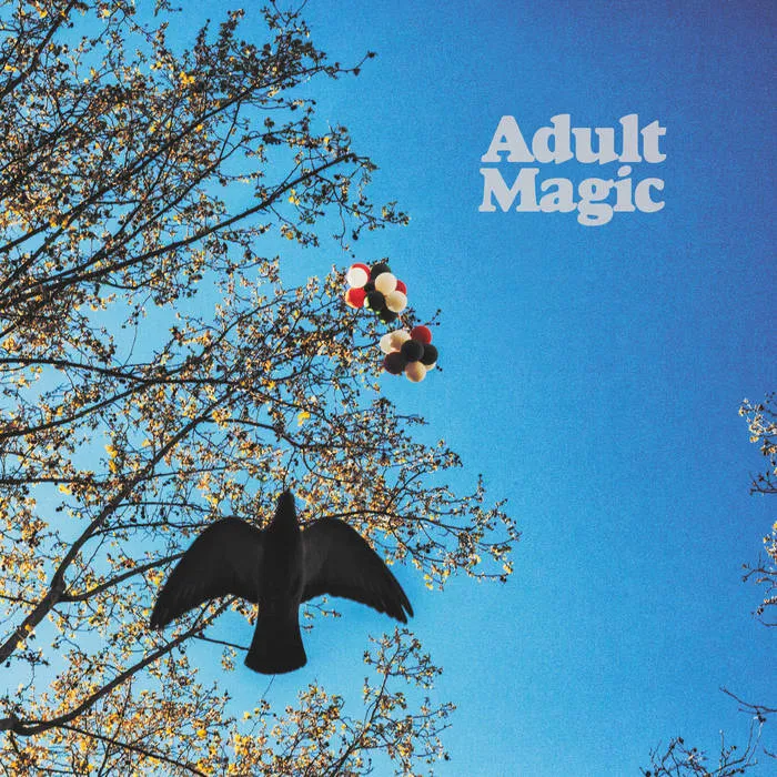 Adult Magic – S/T [MARKED DOWN] – New LP
