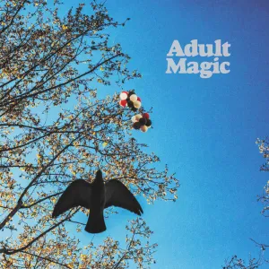 Adult Magic – S/T [MARKED DOWN] – New LP