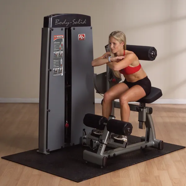 BODY SOLID PRO DUAL AB AND BACK - DABB-SF