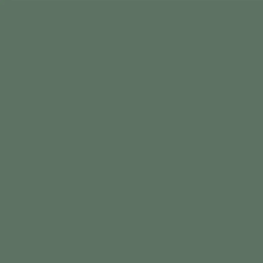 Carta Bella - Best In Show - 12x12 Single Sheet - Coordinating Solids - Red / Green
