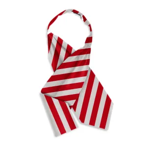 Collegiate Red and Silver - Cravats