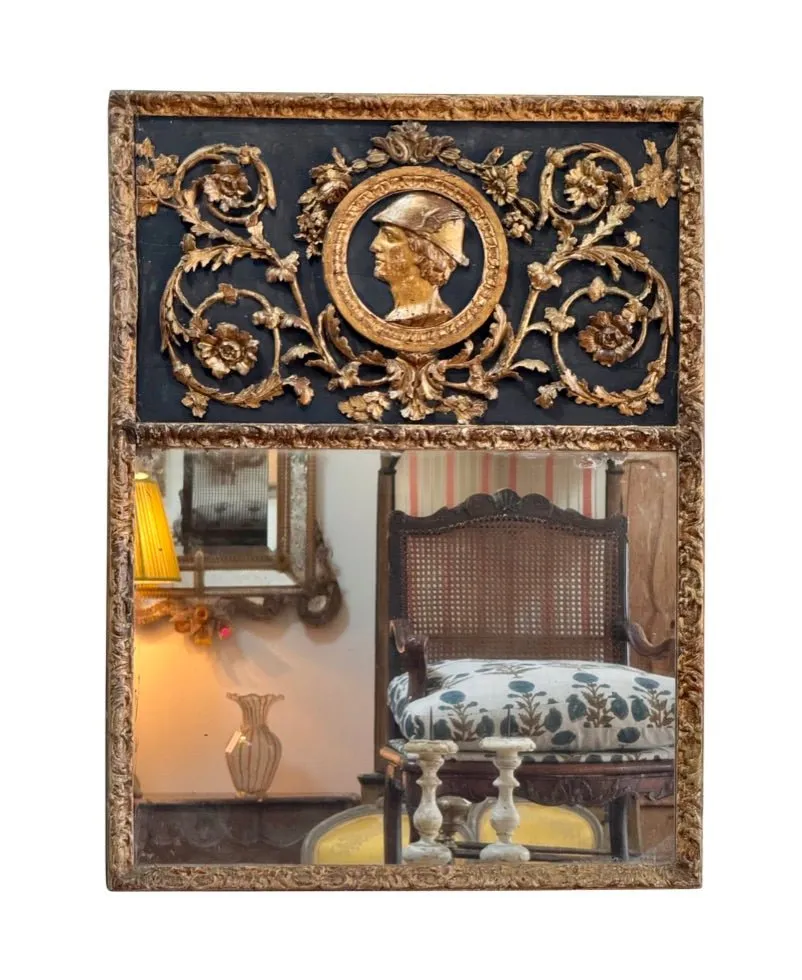 Early 19th Century French Empire boiserie Mirror