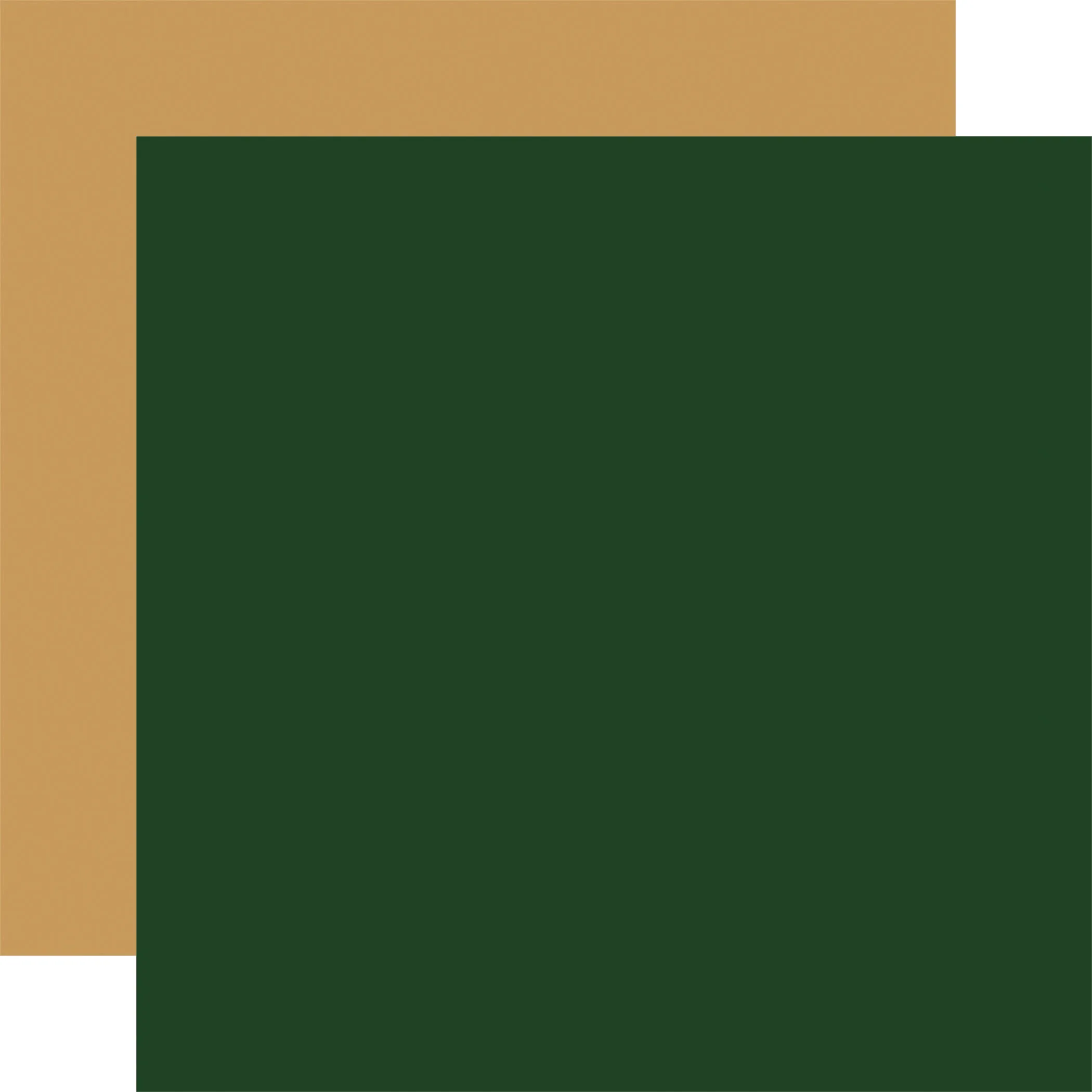 Echo Park - Christmas Joy - 12x12 Single Sheet / Dk Green / Gold Coordinating Solid