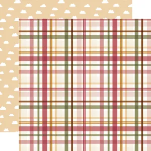 Echo Park - Special Delivery Baby Girl - 12x12 Single Sheet / Loved Girl Plaid