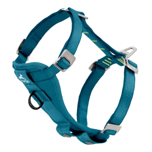 Enhanced Strength Tru-Fit Dog Car Harness