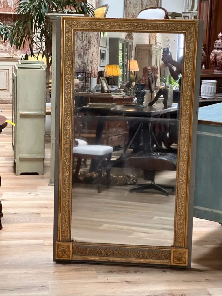 Gorgeous 19th Century Boiserie Panel Mirror