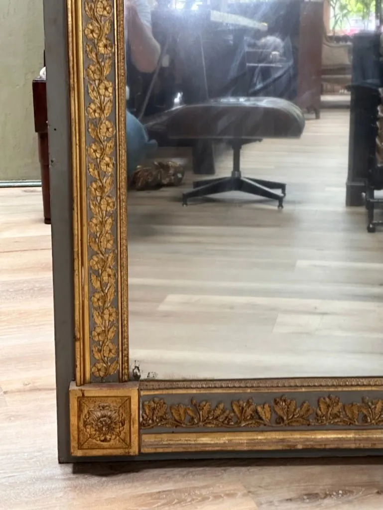 Gorgeous 19th Century Boiserie Panel Mirror