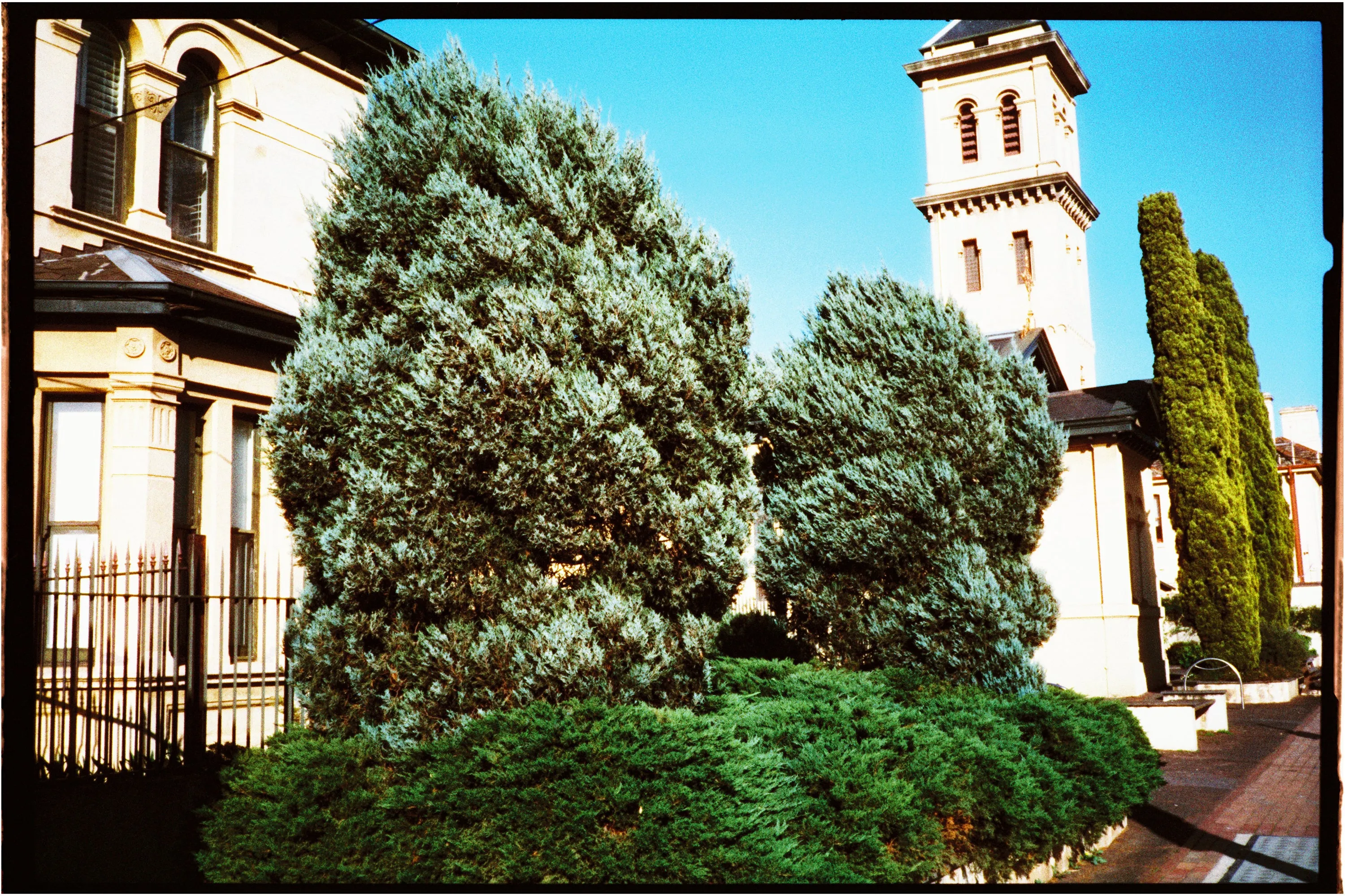 Harman Phoenix 200 — 35mm