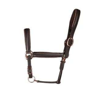 Hy Equestrian Chromatic Leather Head Collar