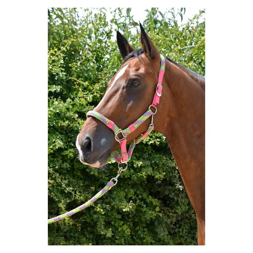 Hy Multicolour Adjustable Head Collar with Rope