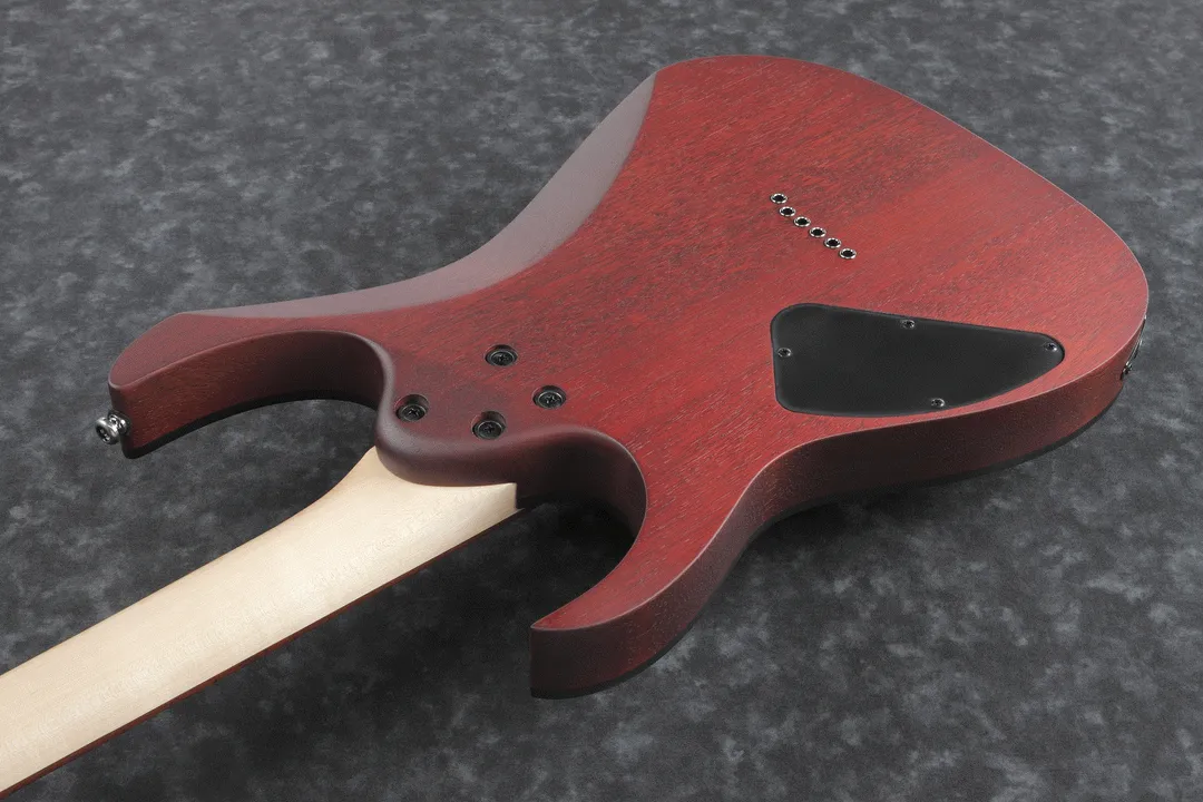 Ibanez RG421PB CHF Electric Guitar