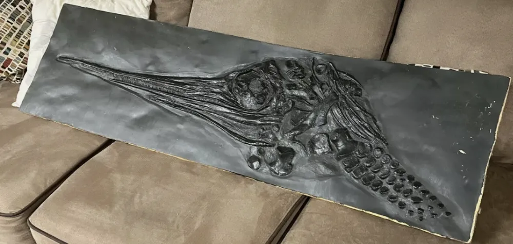 Ichtyosaurus cast Excalibosaurus marine reptile (TMF ICHTY 2)