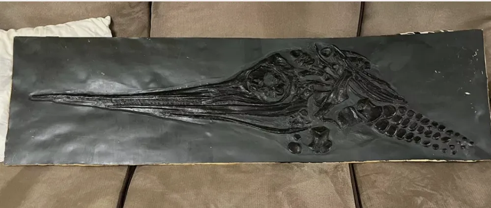 Ichtyosaurus cast Excalibosaurus marine reptile (TMF ICHTY 2)