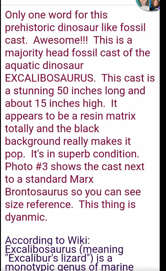 Ichtyosaurus cast Excalibosaurus marine reptile (TMF ICHTY 2)