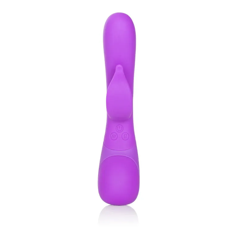 Impress Dove - Purple