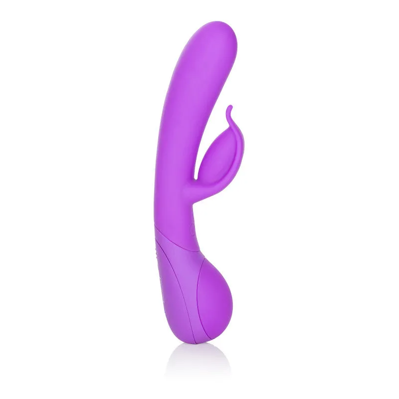 Impress Dove - Purple