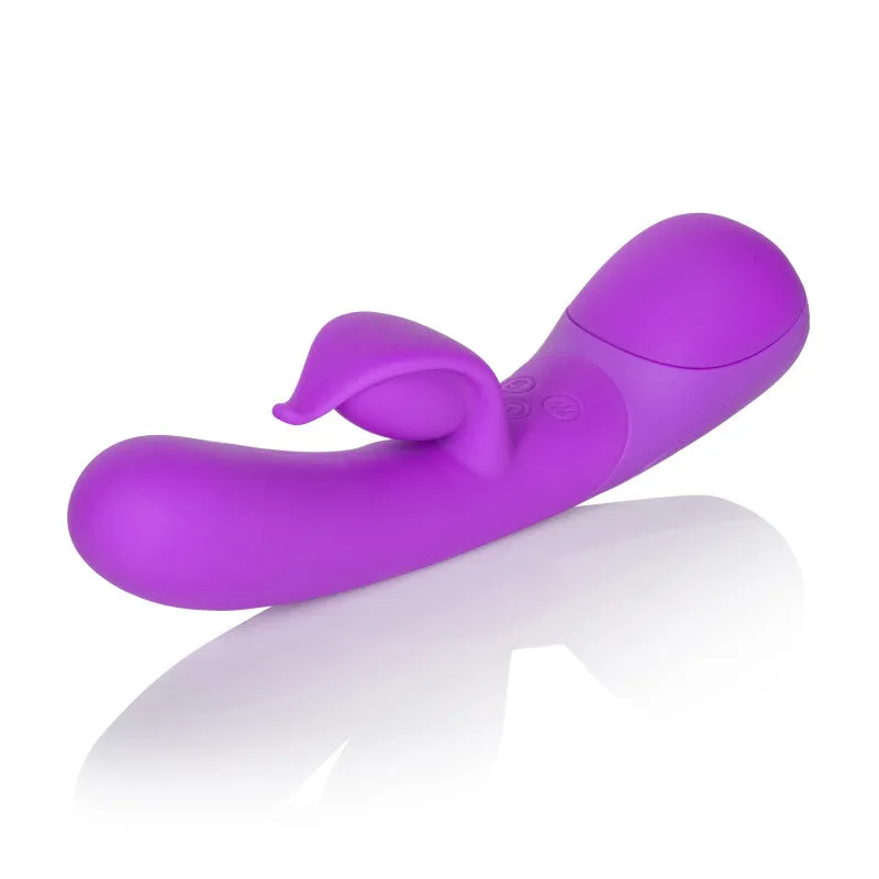 Impress Dove - Purple