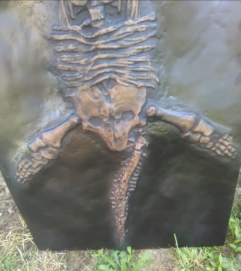 International shipping Plesiosaurus Skeleton cast replica marine reptile