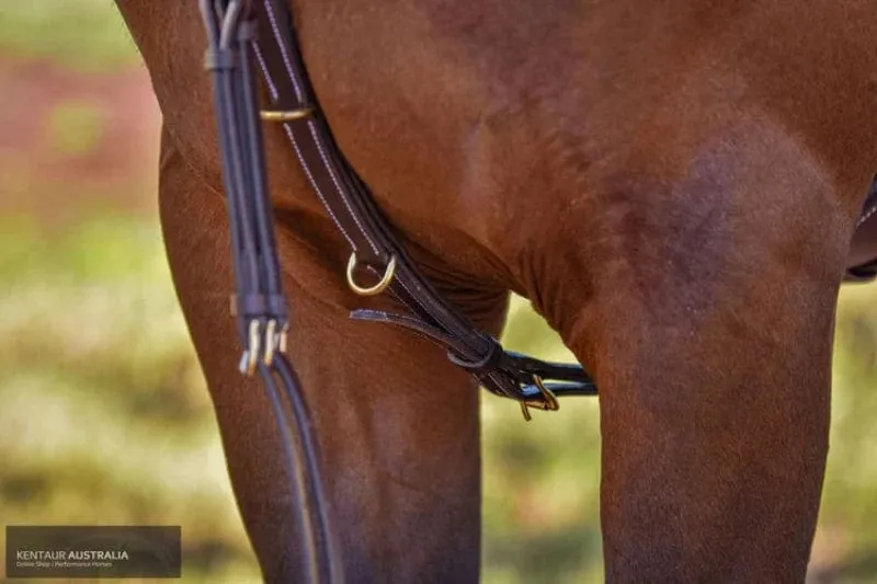 Kentaur Napoli Jumping Breastplate
