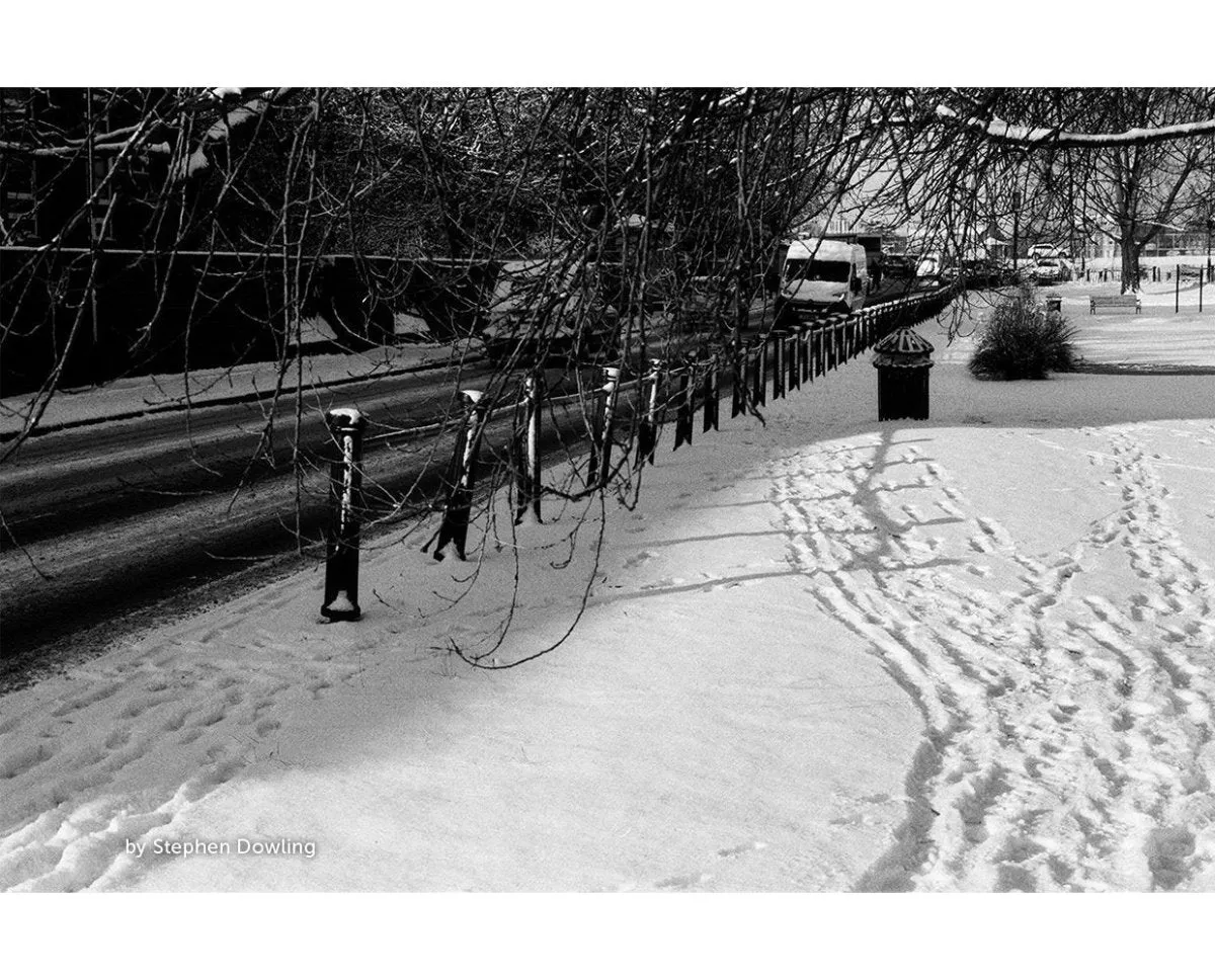 Kosmo Foto Mono 100 - 120 Film