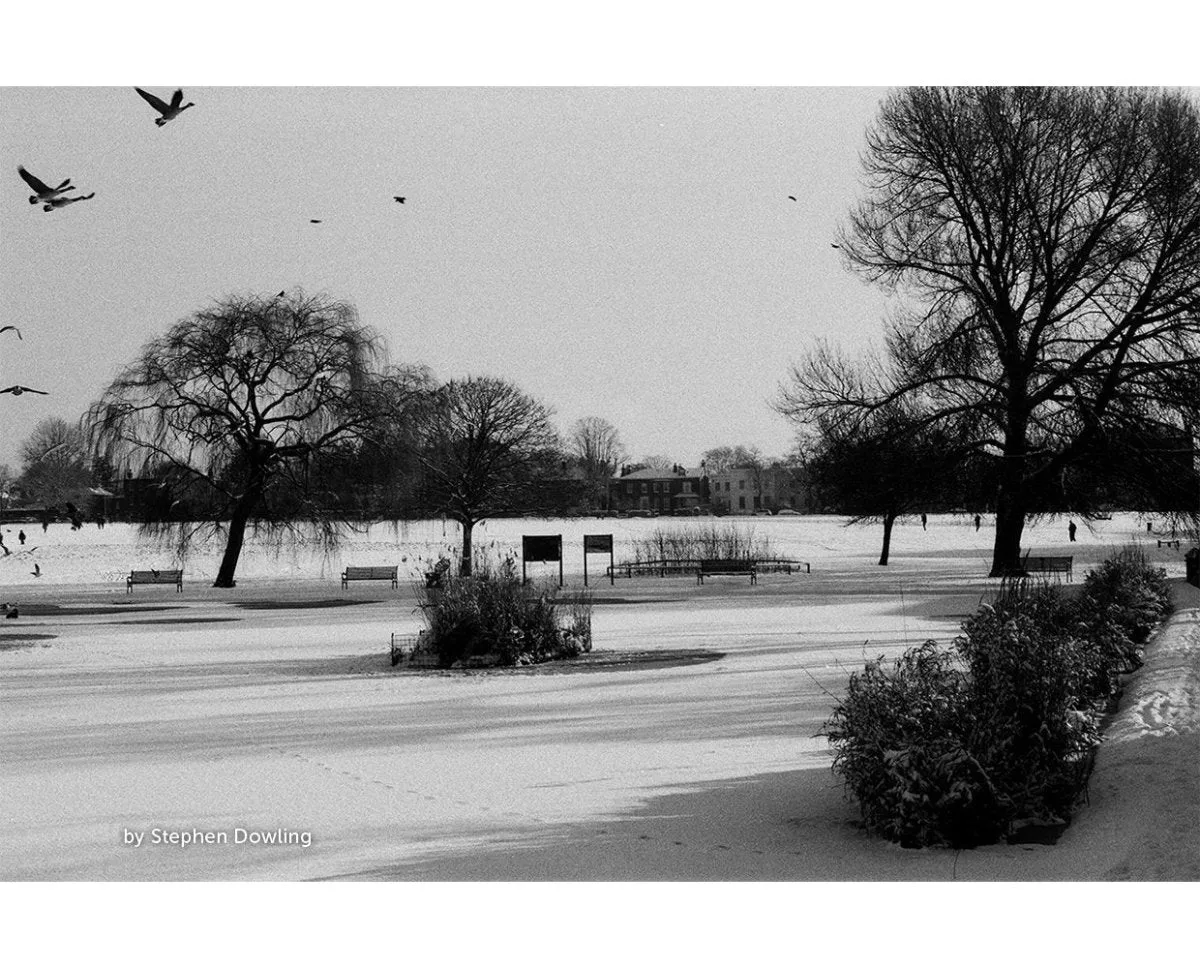 Kosmo Foto Mono 100 - 120 Film
