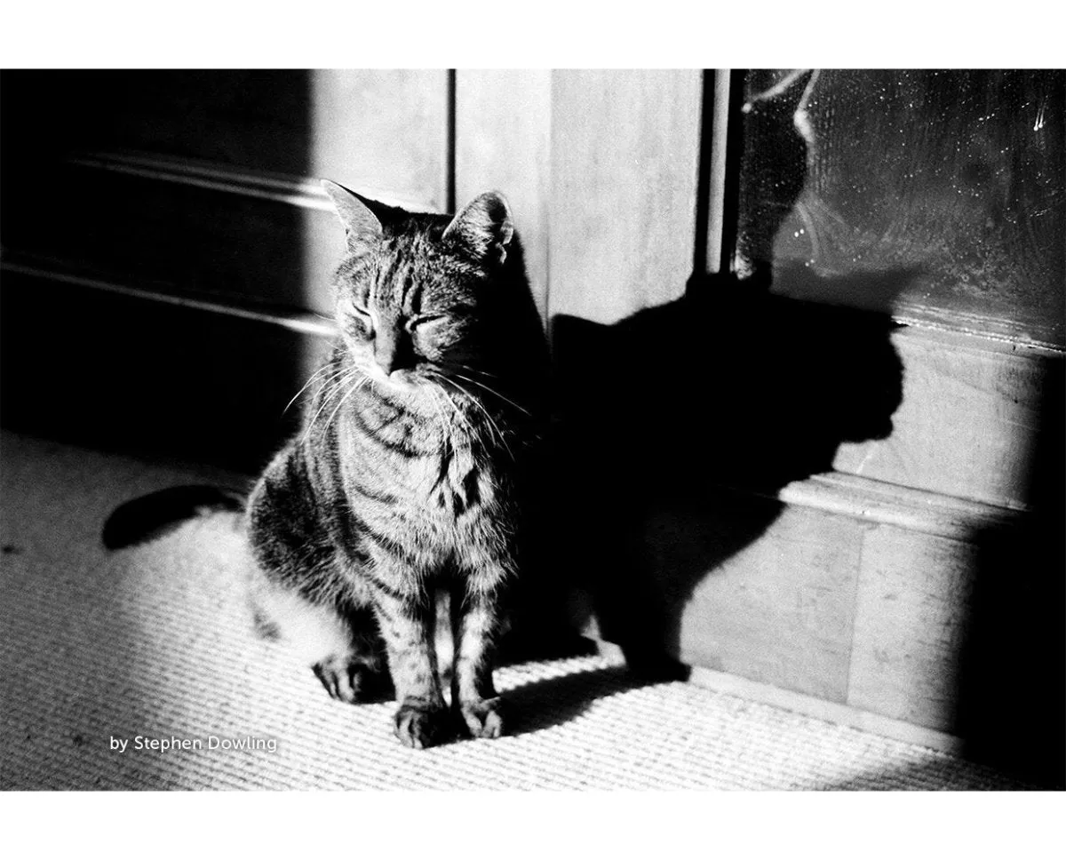 Kosmo Foto Mono 100 - 120 Film