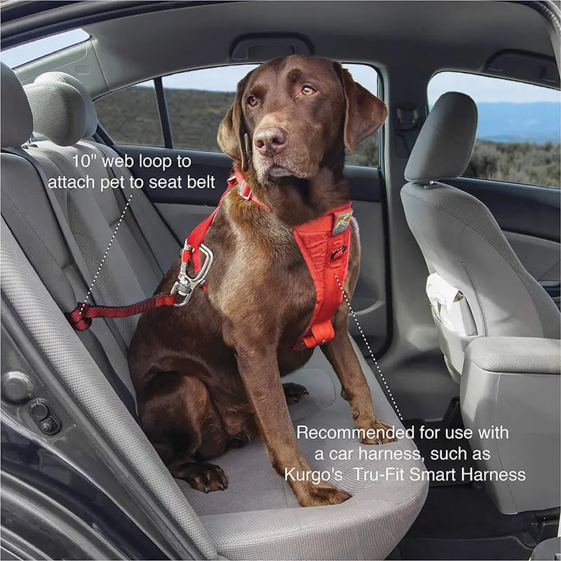 Kurgo Swivel Seat Belt Tether