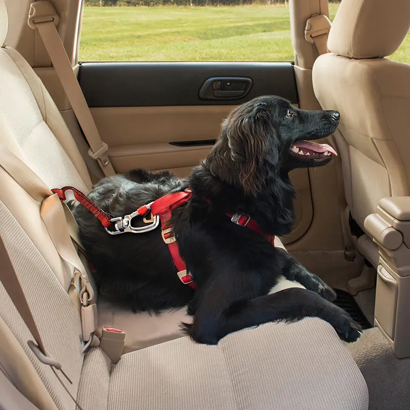 Kurgo Swivel Seat Belt Tether