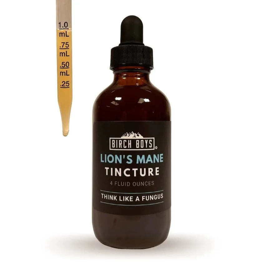 Lion's Mane Tincture—Birch Boys