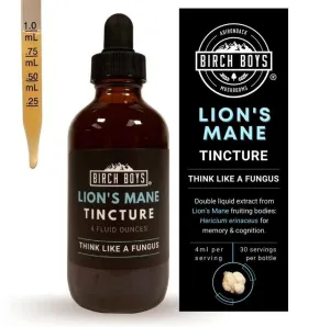 Lion's Mane Tincture—Birch Boys