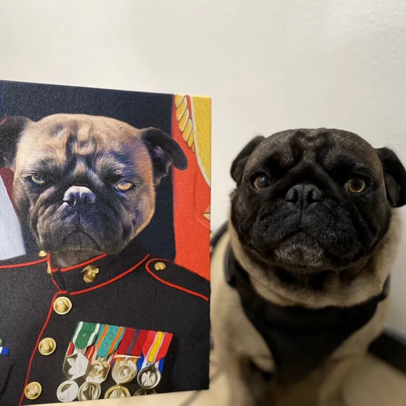 Marine