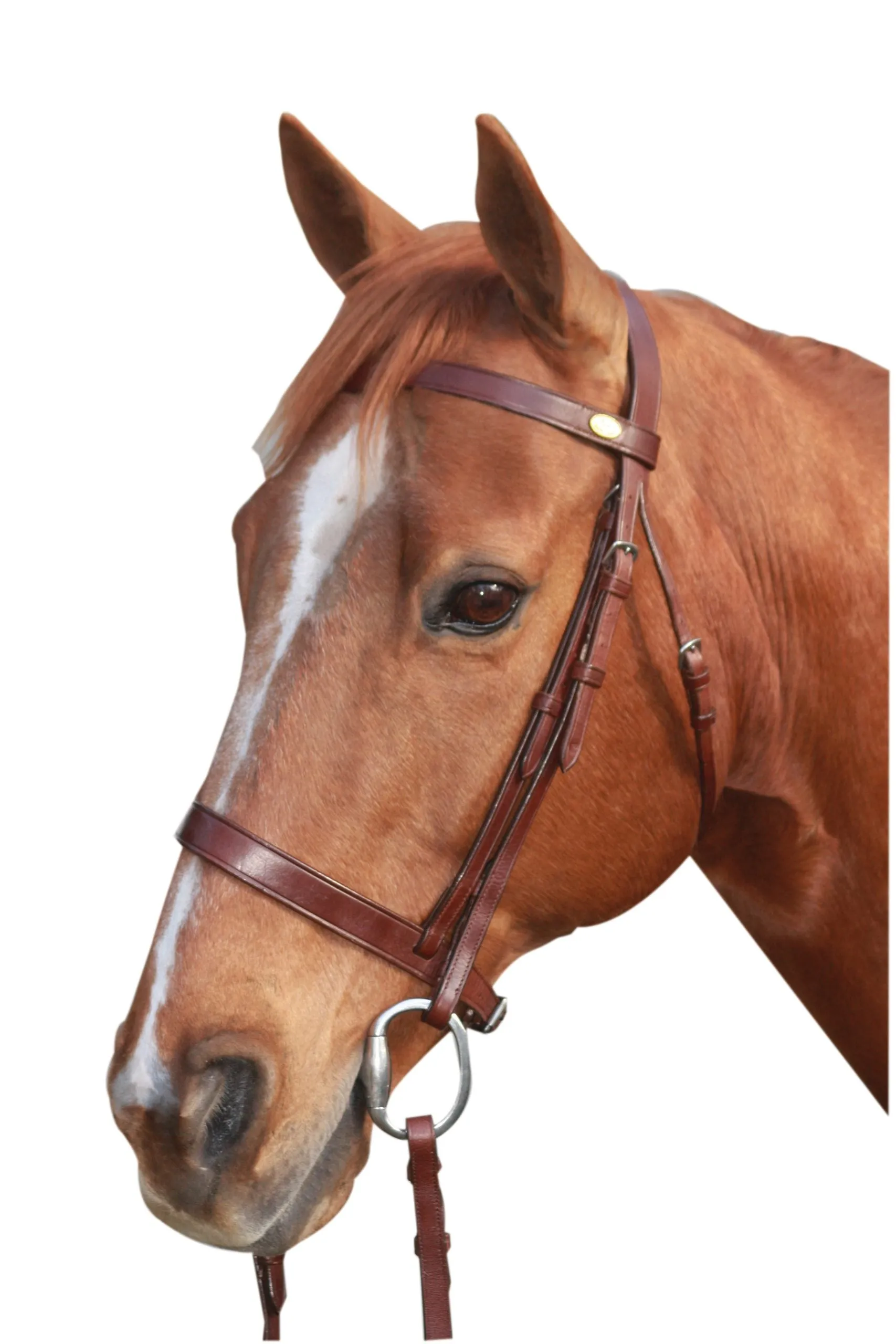 McAlister Flat Cavesson Bridle