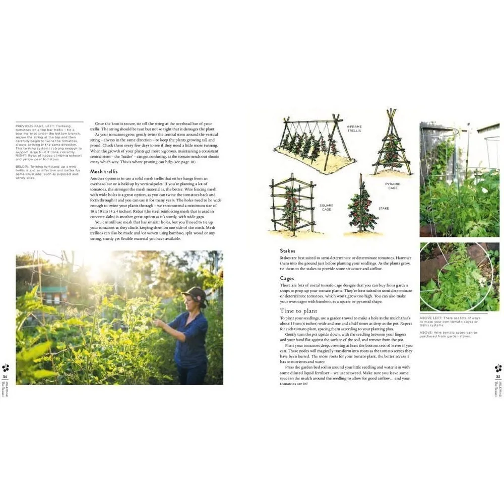 Milkwood - Tomatoes, Mushrooms, Beekeeping, Seaweed, Wild Food