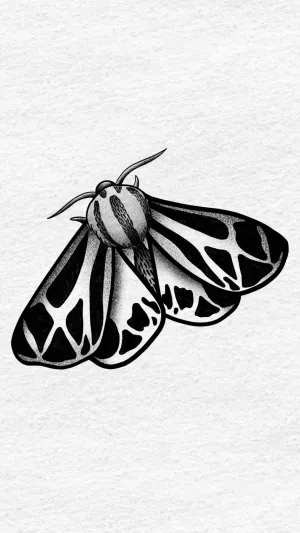 Moth with Patterned Wings