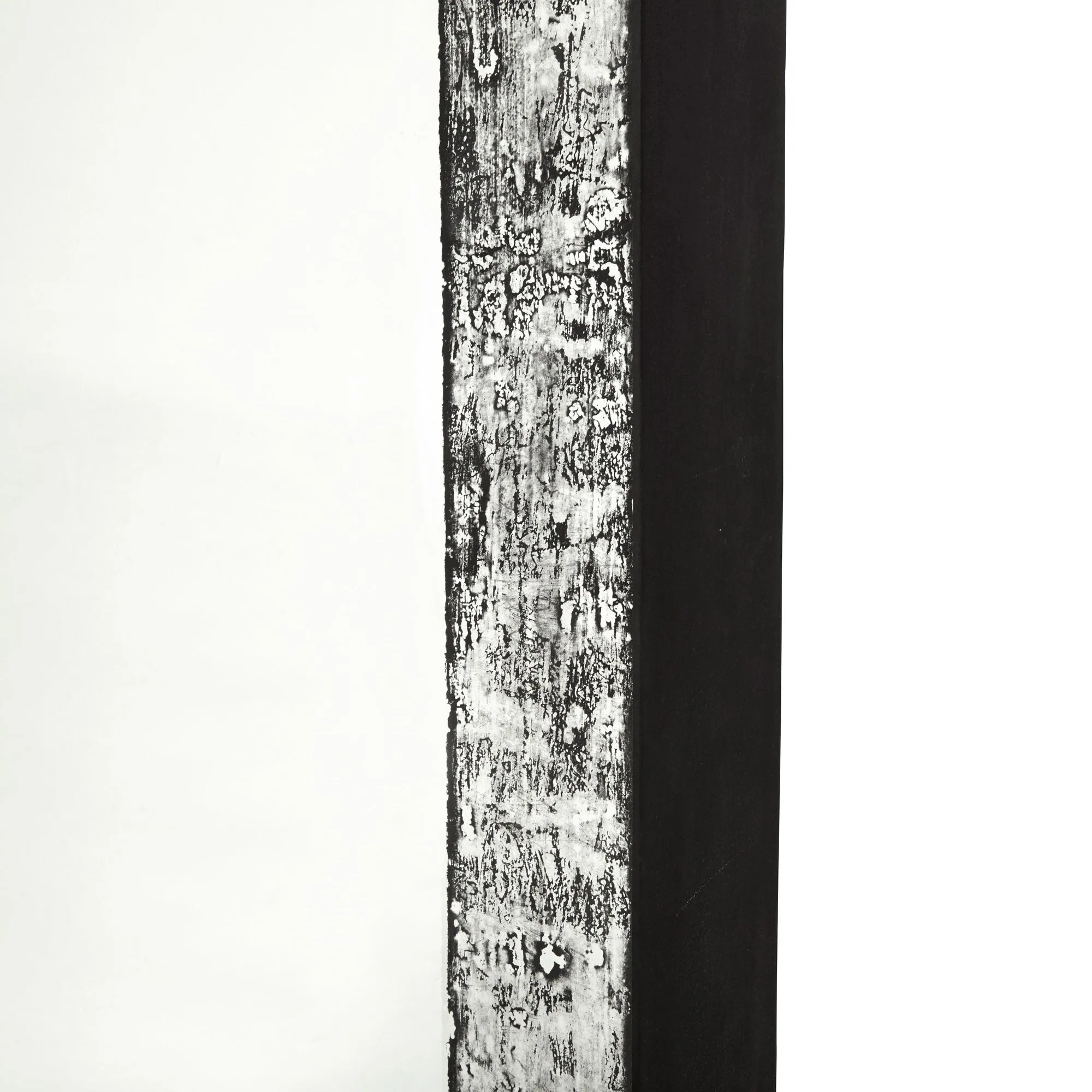 Octavia Wall Mirror
