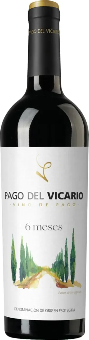 Pago del Vicario 6 Meses
