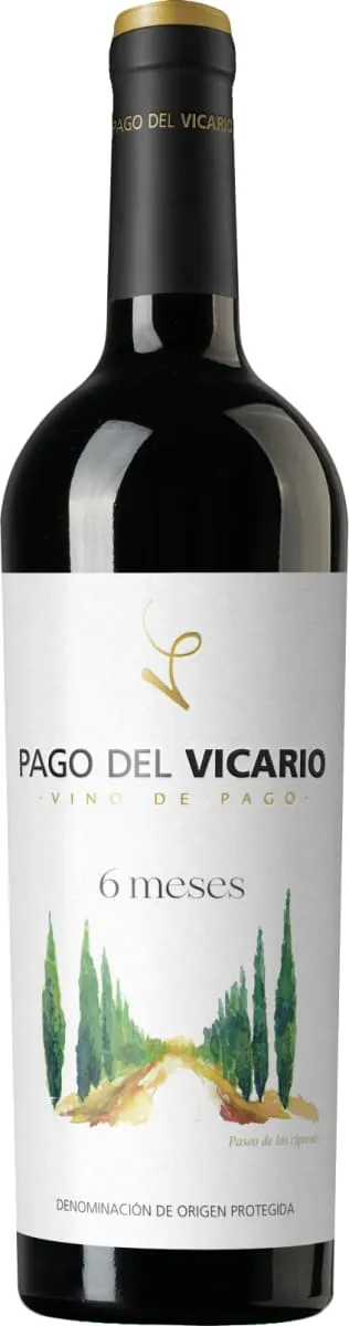 Pago del Vicario 6 Meses
