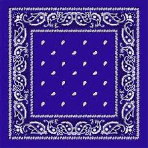 Paisley Bandanas