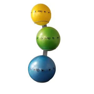 Prism Fitness Smart Stability Ball Rack, Wall Mounted Commercial Package