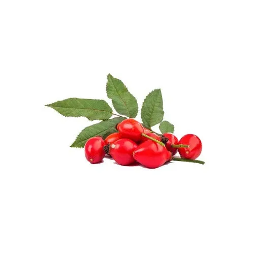 Rosehip Wax (Rosa rubiginosa) Active Ingredient