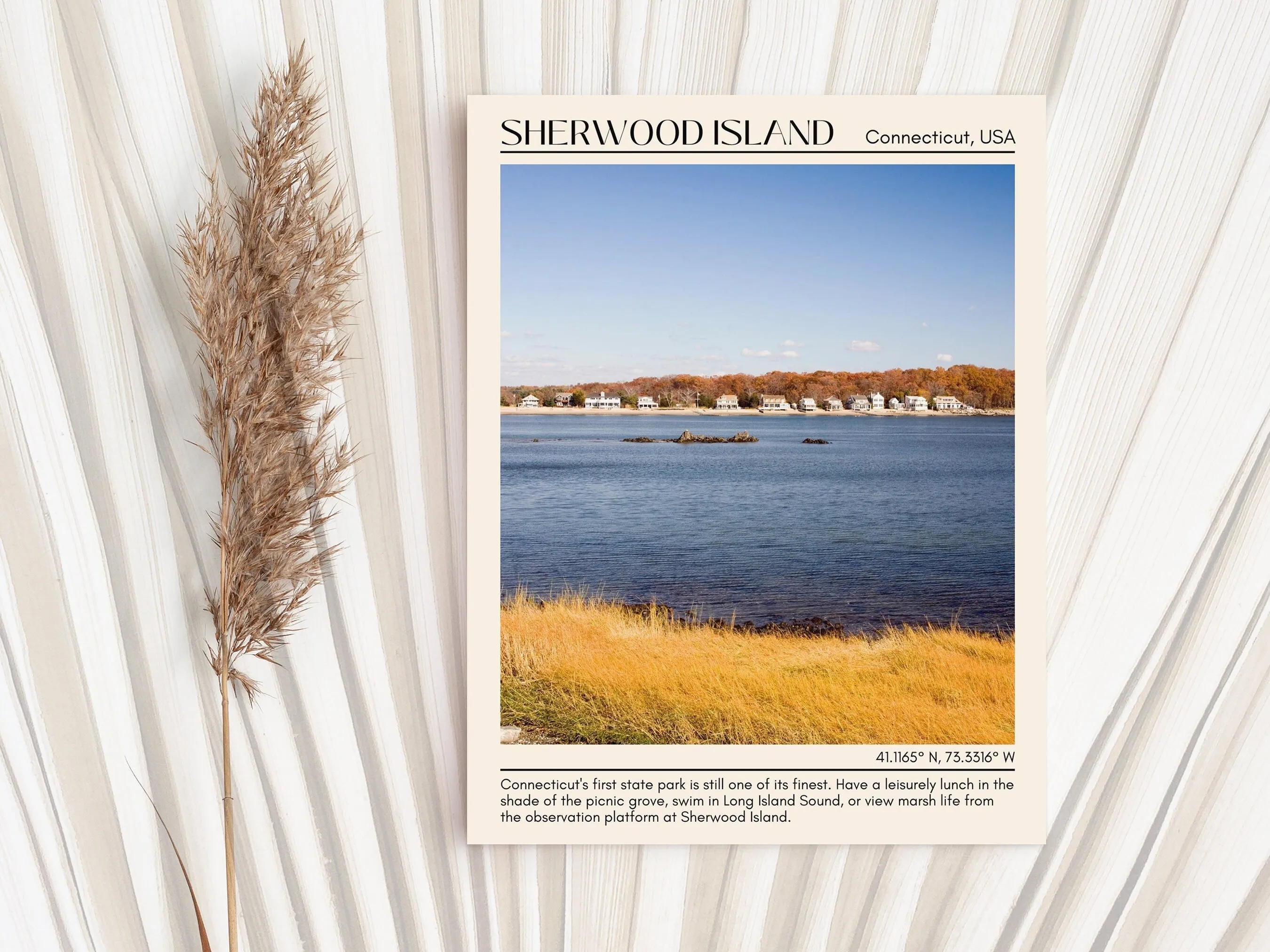 Sherwood Island State Park Wall Art Canvas, USA