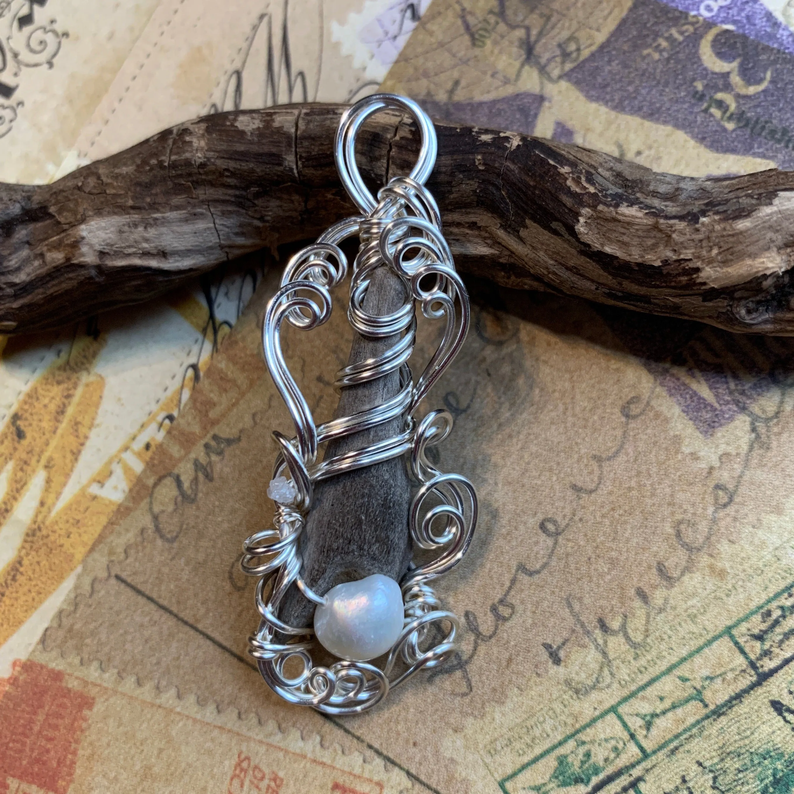 Shoreline Artifact #2