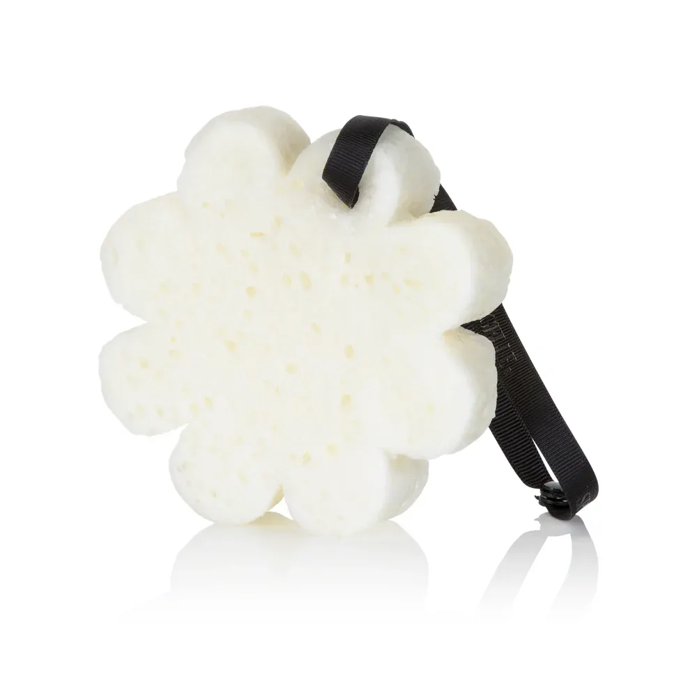 {Spongelle} Daisy Collection - Beach Grass