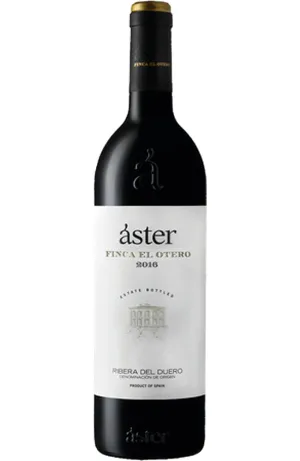 Áster Finca el Otero 2019
