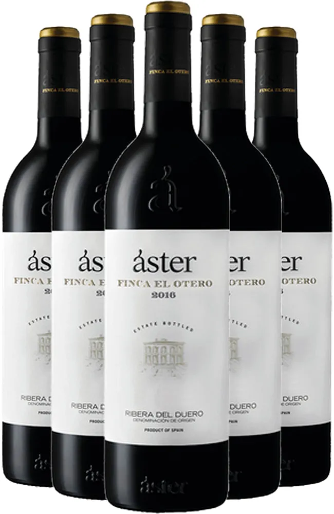Áster Finca el Otero 2019