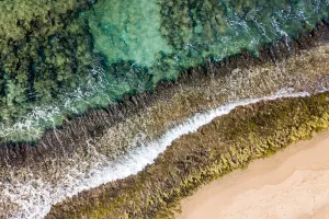 Watercolor Shoreline